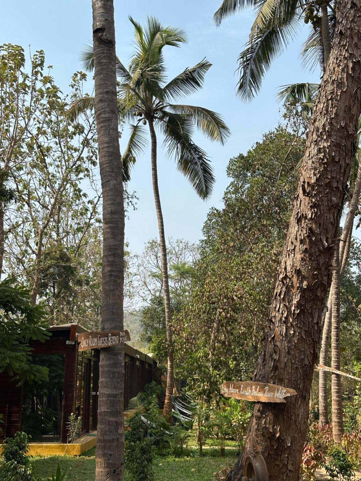 Maya Nature Retreat By Ella's Escape * Mandrem