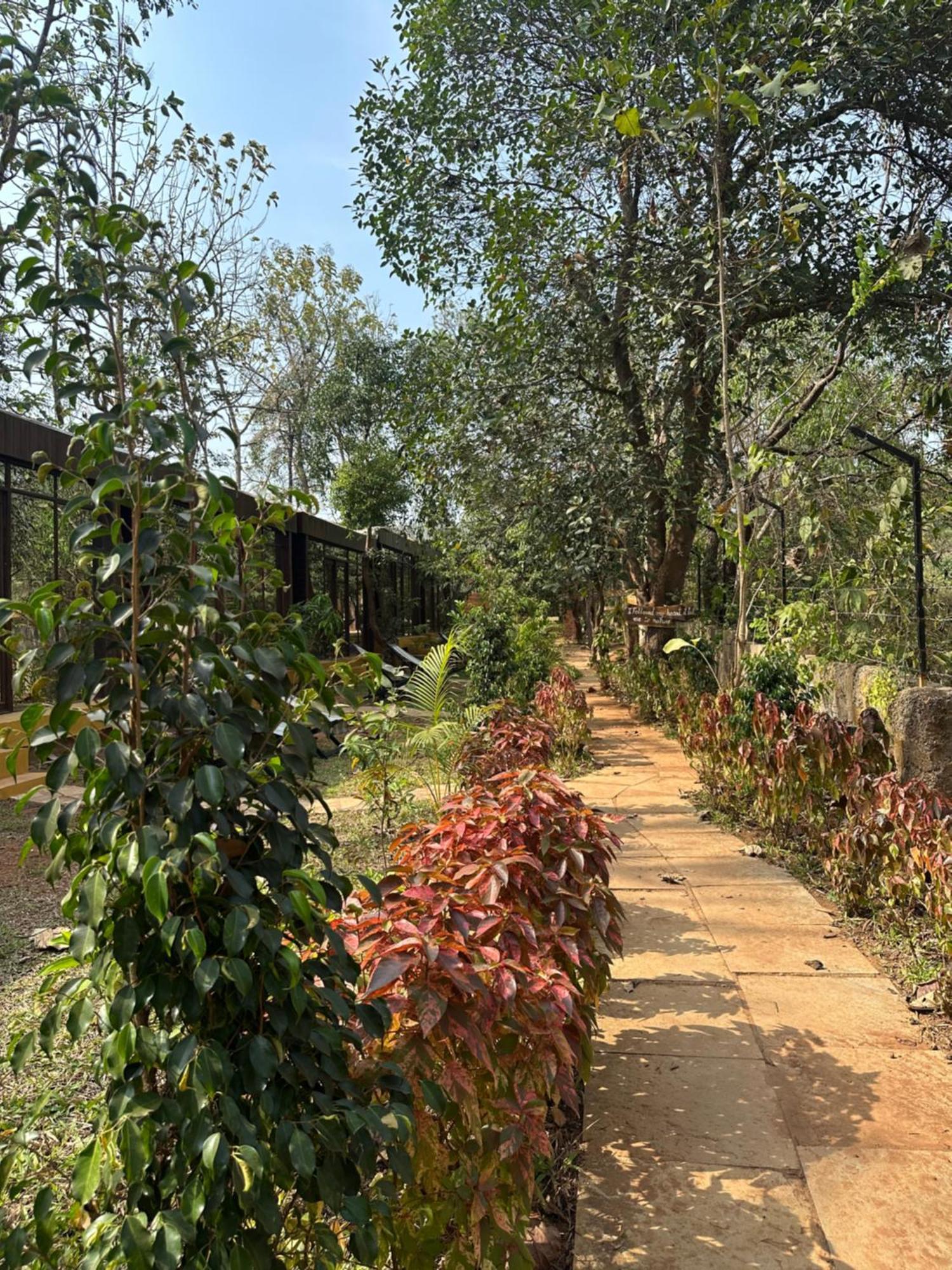 Campsite Maya Nature Retreat By Ella's Escape Mandrem